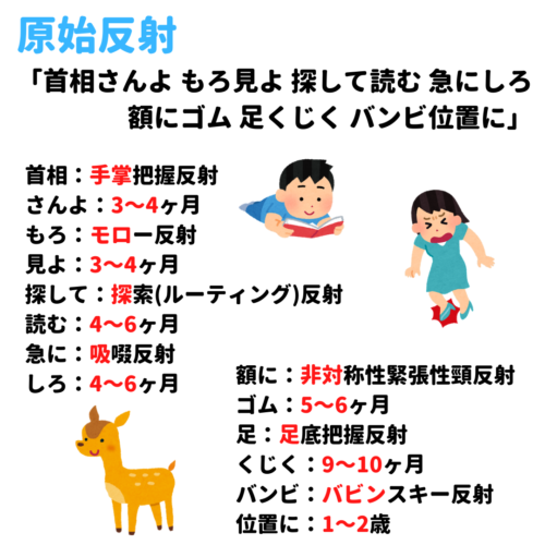 原始反射 手掌把握反射 モロー反射 探索 ルーティング 反射 吸啜反射 非対称性緊張性頸反射 バビンスキー反射 覚え方 語呂合わせ 看護国試ゴロ 看護師国家試験対策 絶対合格するぞ