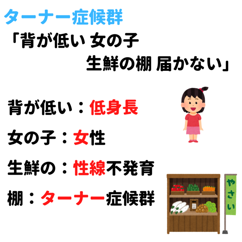 染色体異常 ダウン症候群 ターナー症候群 クラインフェルター症候群 覚え方 語呂合わせ|*看護国試ゴロ*看護師国家試験対策 絶対合格するぞ!