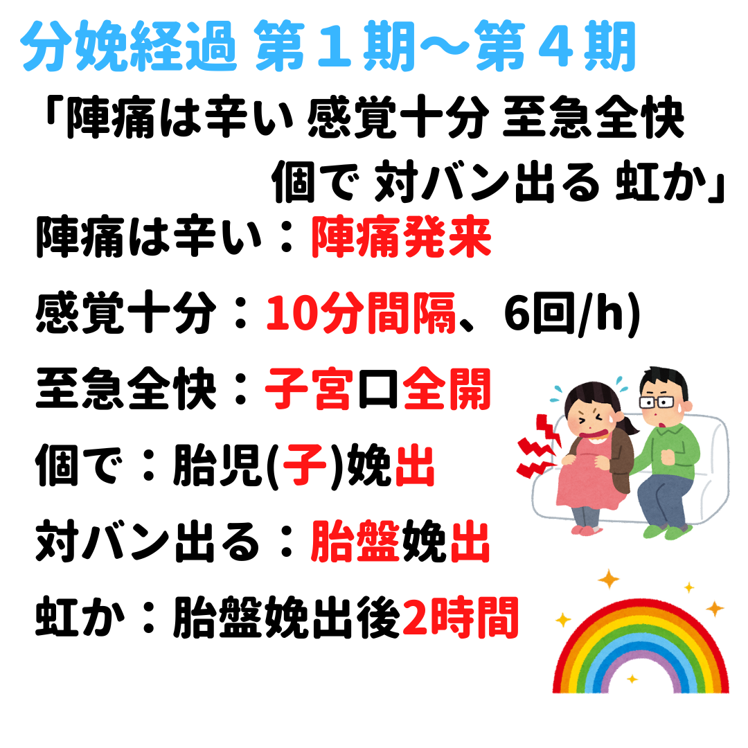 分娩経過 第1期〜第4期 覚え方 語呂合わせ｜＊看護国試ゴロ＊看護師国家試験対策 絶対合格するぞ！