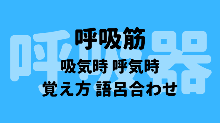 よく呼吸して、よく覚えてください！呼吸が記憶にどのような影響を与えるかを発見する