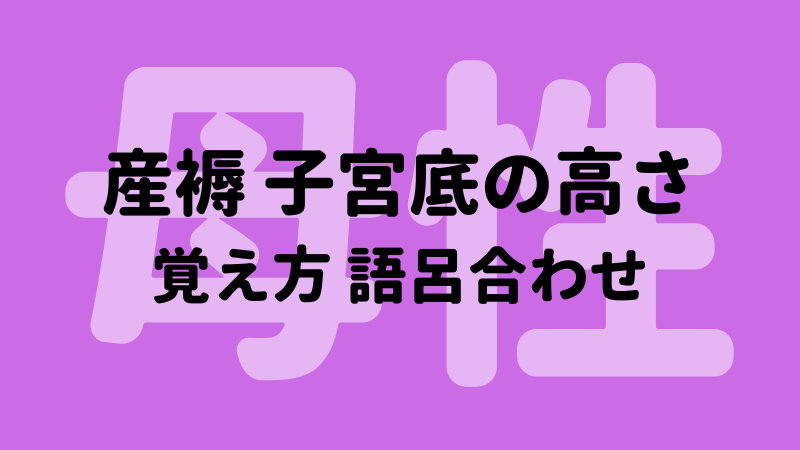 人気満点 カラー写真で学ぶ妊産褥婦のケア Fiqueisemcracha Com Br