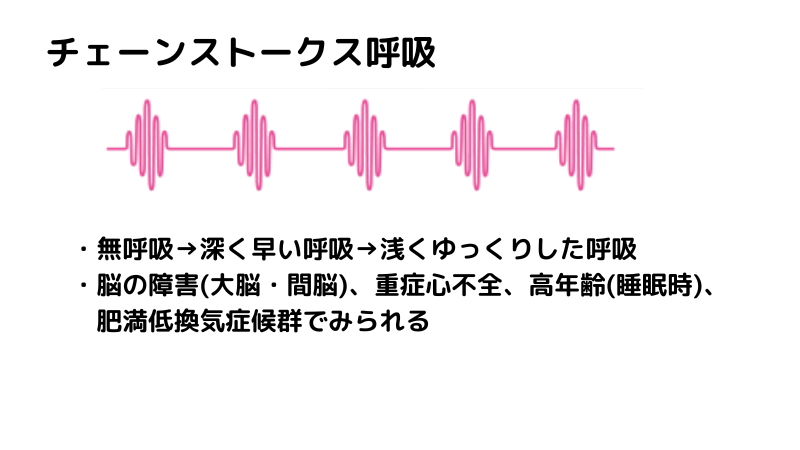 異常呼吸 クスマウル呼吸 チェーンストークス呼吸 ビオー呼吸 覚え方 語呂合わせ 看護国試ゴロ 看護師国家試験対策 絶対合格するぞ