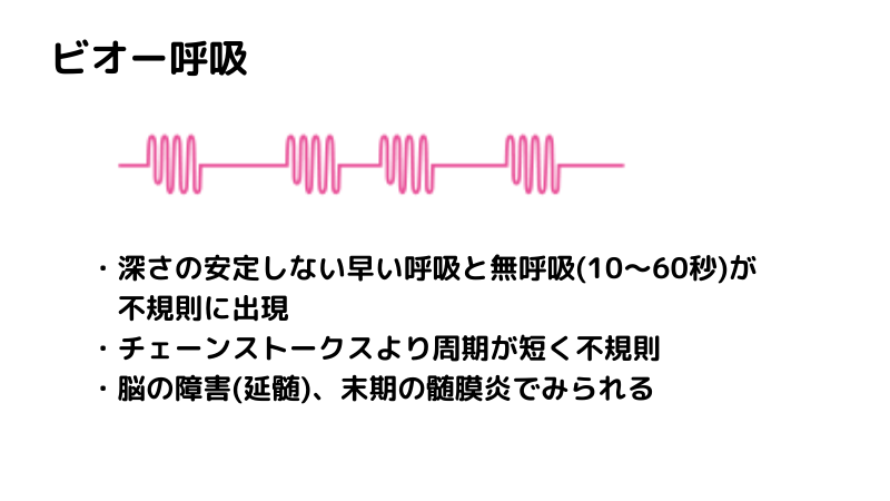 異常呼吸 クスマウル呼吸 チェーンストークス呼吸 ビオー呼吸 覚え方 語呂合わせ 看護国試ゴロ 看護師国家試験対策 絶対合格するぞ