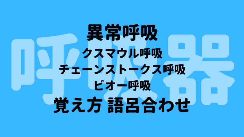 異常呼吸 クスマウル呼吸 チェーンストークス呼吸 ビオー呼吸 覚え方 語呂合わせ 看護国試ゴロ 看護師国家試験対策 絶対合格するぞ