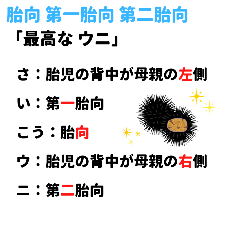 胎向 第一胎向 第二胎向 覚え方 語呂合わせ｜＊看護国試ゴロ＊看護師国家試験対策 絶対合格するぞ！