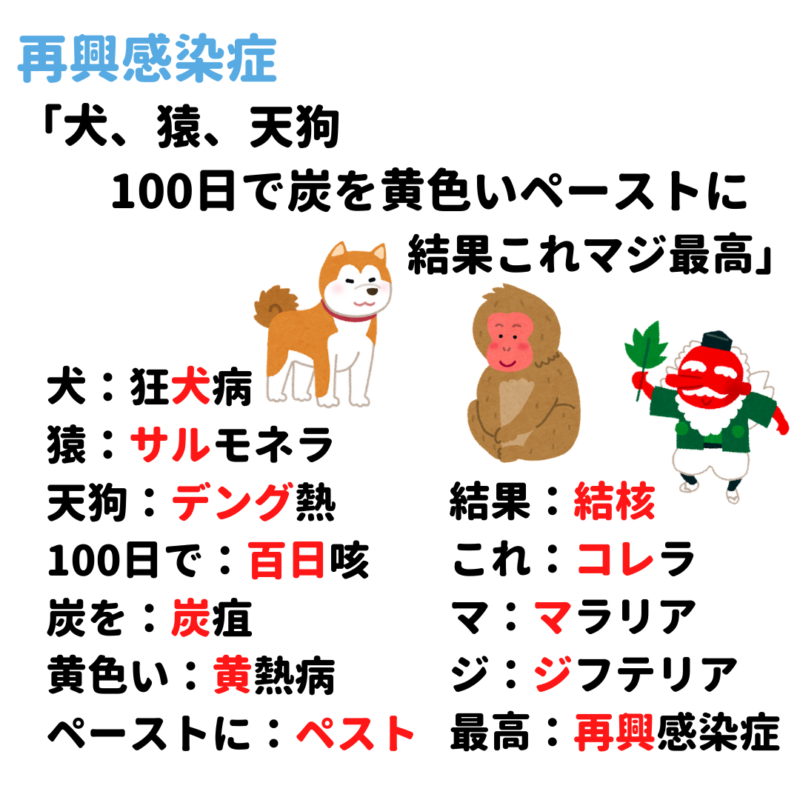 新興感染症・再興感染症 覚え方 語呂合わせ｜＊看護国試ゴロ＊看護師国家試験対策 絶対合格するぞ！